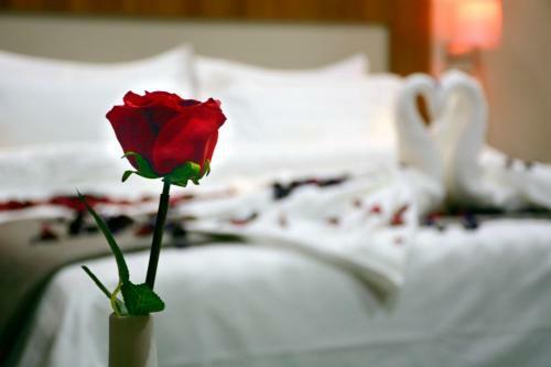 Hotel ???? ??????? ??????
