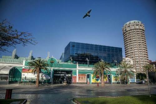 Apartamento Canarias. Islas Afortunadas