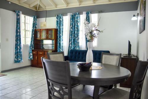 2 Bedroom Master Apartment In Roseau