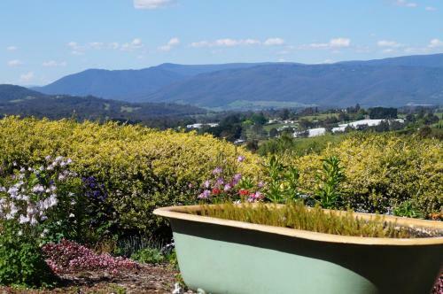 Eagle's View Bed & Breakfast