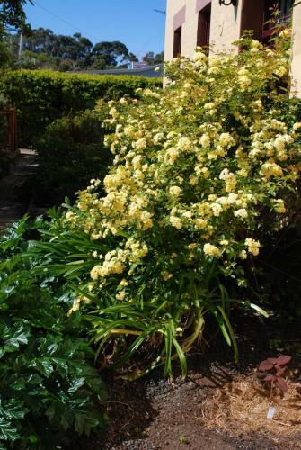 Bed & Breakfast Schouten House