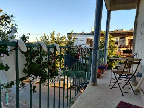 Hostal Alpenrose