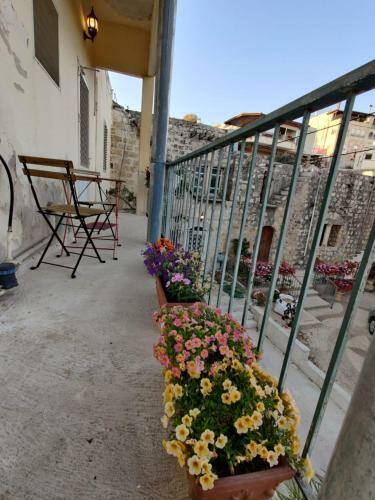 Hostal Alpenrose