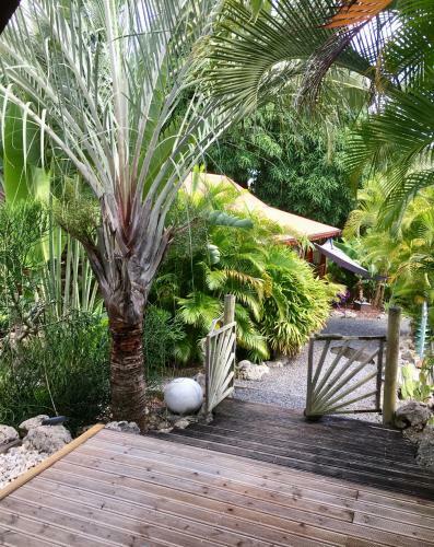 Ti Coin Paradis