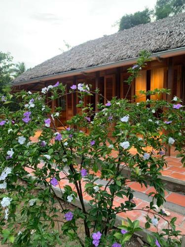 Hostal Xeo May Homestay