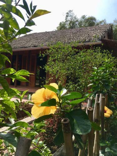 Hostal Xeo May Homestay