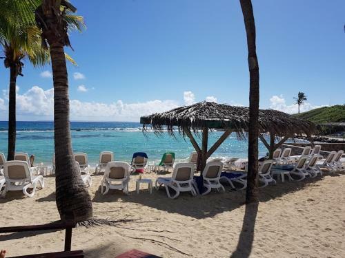 Apartamento Studio Douceur Des Iles