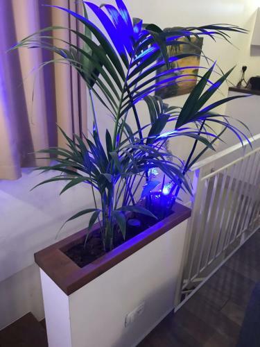 Aleen Guest House
