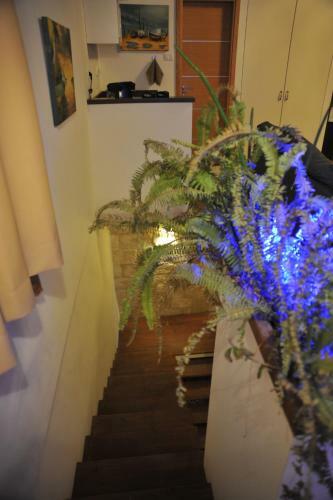 Aleen Guest House