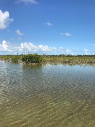 Apartamento Coral Lakes Vacation Spot