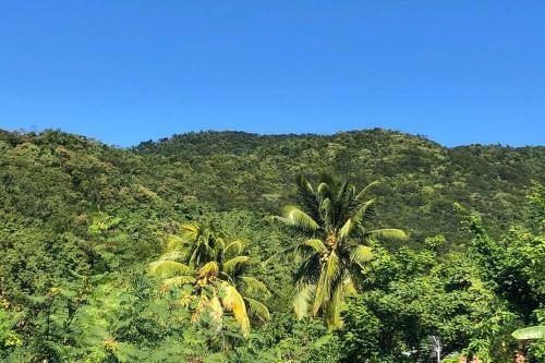 Villa Les Lodges De Malendure