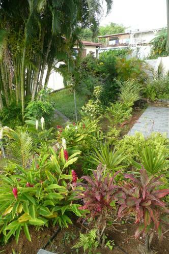 Douceurs Cara�bes, G�te Cannelle