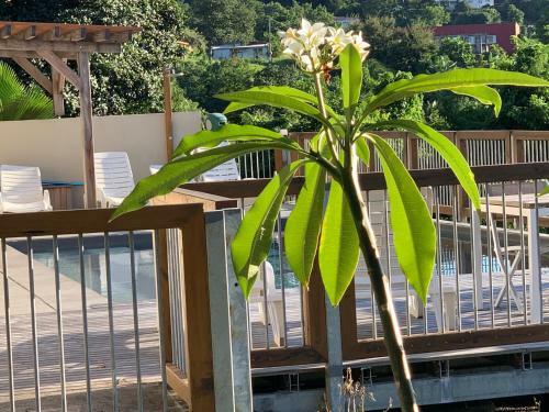 Lodge Les Cabanes Perch�es