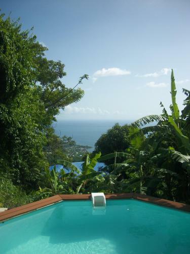 Mango Tree Lodge