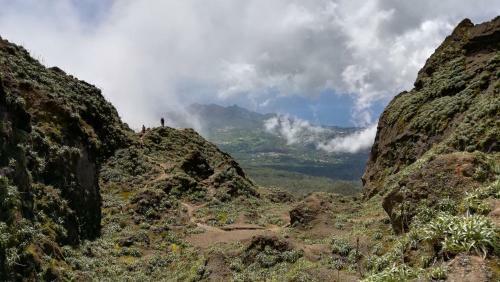 Apartamento C�t� Cara�bes