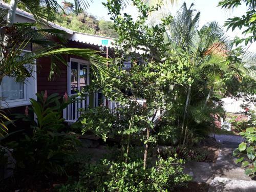 Apartamento Gite Palmier
