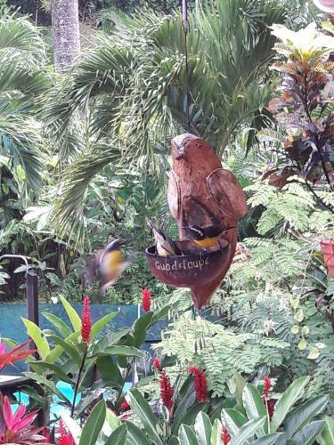 Les Jardins de L'esp�rance