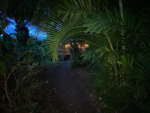 Lodge R�ve Et Aliz�
