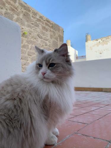 Casa Doranda Vegueta
