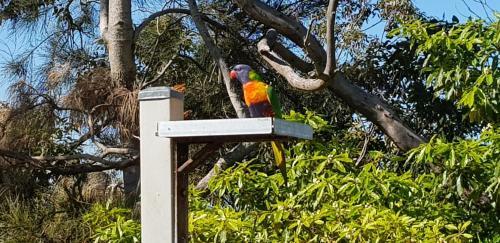 The Edgewater Bed & Breakfast