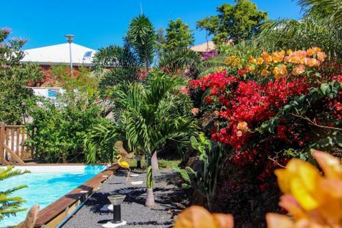 Hostal Amour Deshaies
