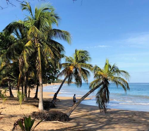 Apartamento Coco-mango Apt A