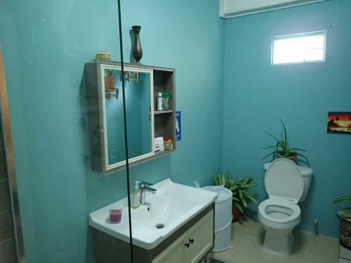Urban Oasis Apartment