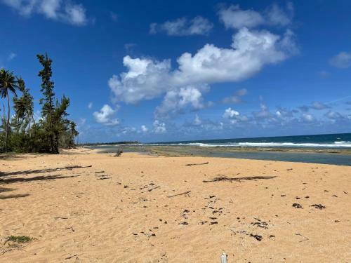 Shacks Beach Isabela Pr - Entire House Or Private Rooms
