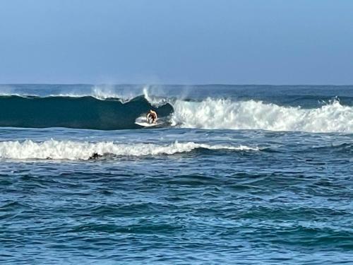 Shacks Beach Isabela Pr - Entire House Or Private Rooms