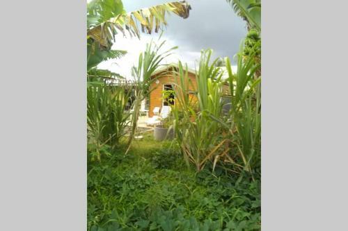 Joli Bungalow Sur Lamentin