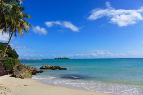 Apartamento R�sidence de La Vieille Tour