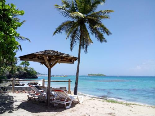 Apartamento Studio Bord De Mer