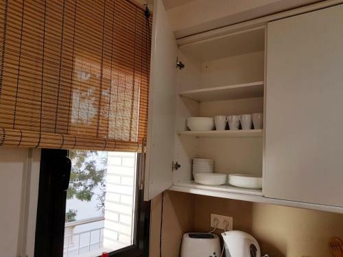 Apartamento Parrot?s House
