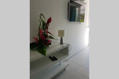 Apartamento Savannah