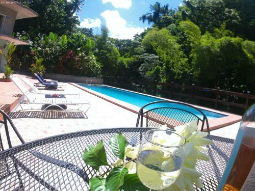 Toraille Waterfall Poolside Apartment