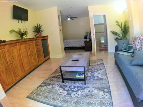 Toraille Waterfall Poolside Apartment