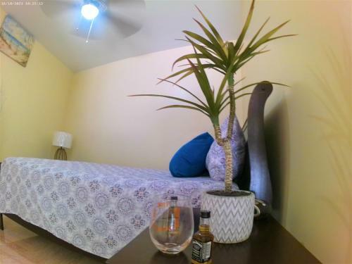 Toraille Waterfall Poolside Apartment