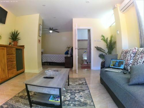 Toraille Waterfall Poolside Apartment
