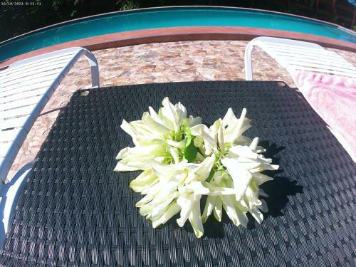 Toraille Waterfall Poolside Apartment