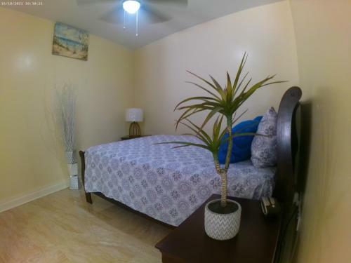 Toraille Waterfall Poolside Apartment