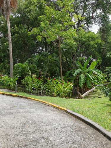 Apartamento Anse Caritan Mahogany