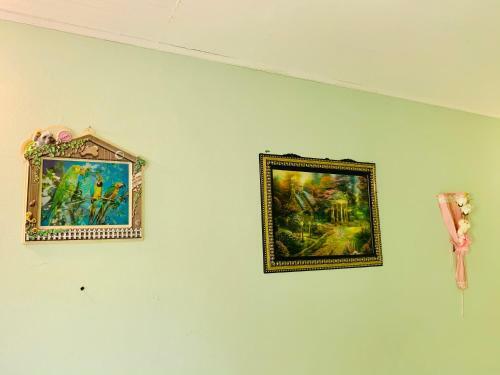 Apartamento Sea View Comfortable Island Home Fully Vaccinated Guest Only