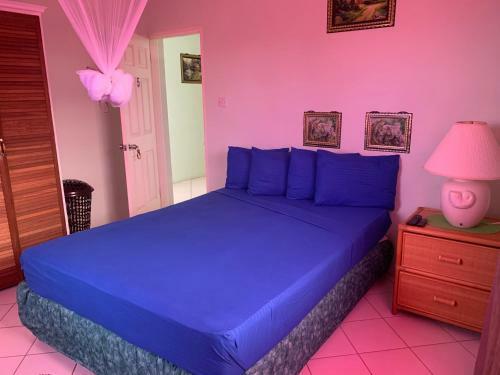 Apartamento Sea View Comfortable Island Home Fully Vaccinated Guest Only