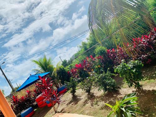 Apartamento Sea View Comfortable Island Home Fully Vaccinated Guest Only