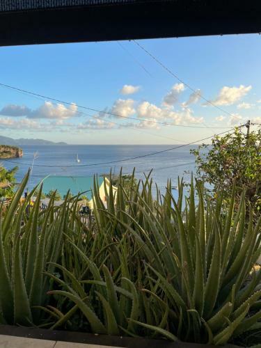 Apartamento Appartement Bleu Coco