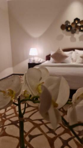 Apartamento Tramontane