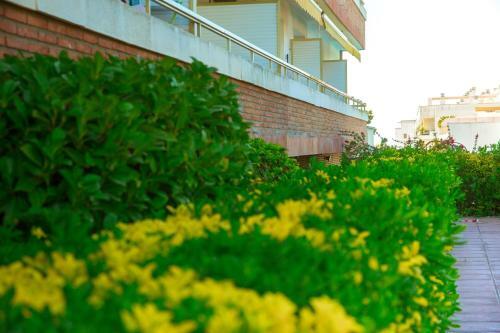 Apartament With Sea View
