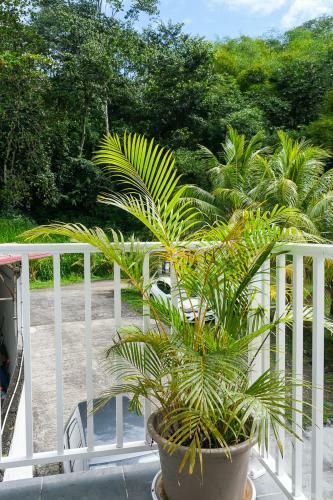 Apartamento Le Studio De Pa�