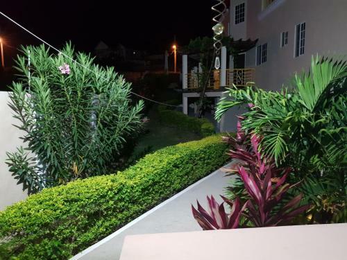 Hostal Cool Breeze Discovery Bay