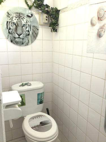 Maison D'une Chambre Avec Wifi A Pointe A Pitre